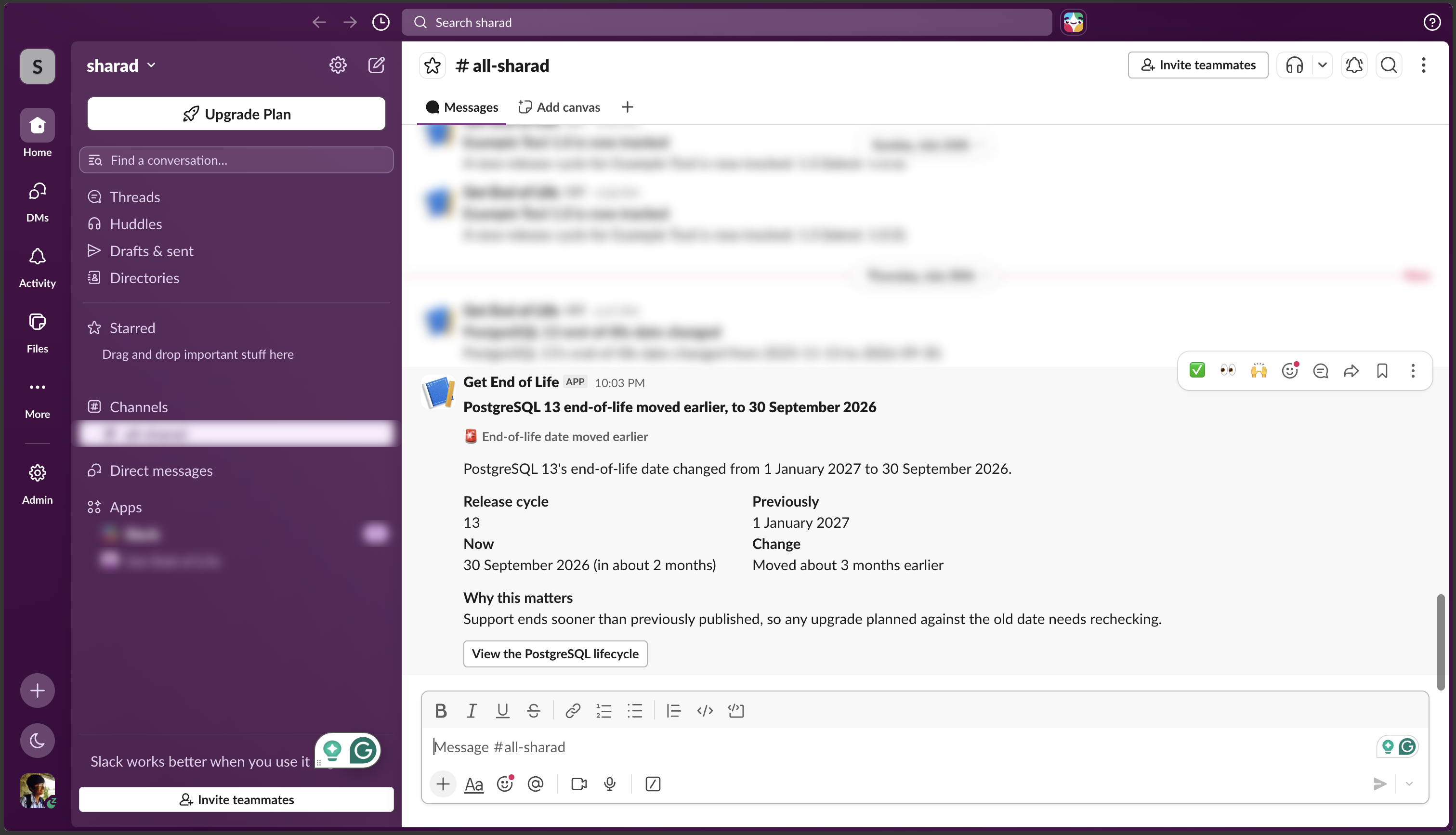 Slack with sensitive messages blurred by Selective Blur